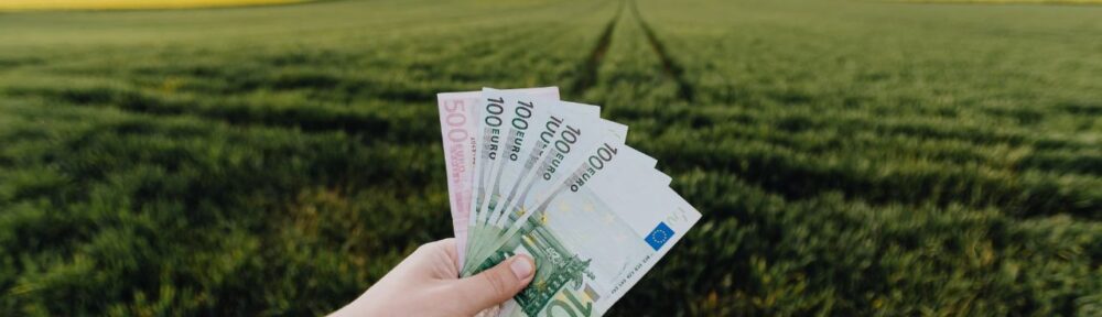 500 eiro aizdevums